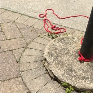 Meet your Posher, Kristen